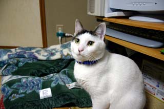 IMG_0056.JPG - 28,360BYTES