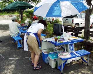 �J�t�F����